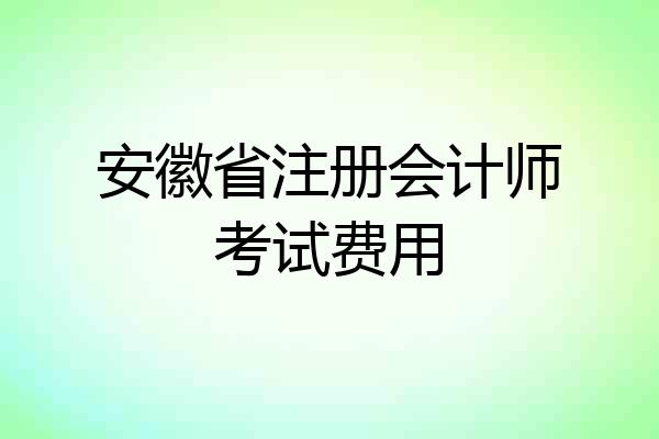 安徽省注册会计师考试费用
