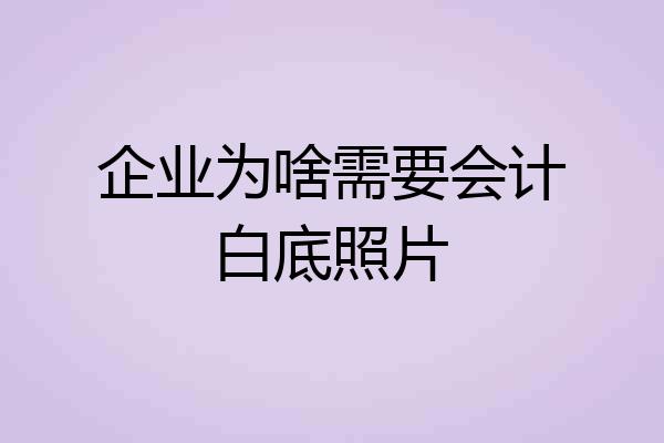 企业为啥需要会计白底照片