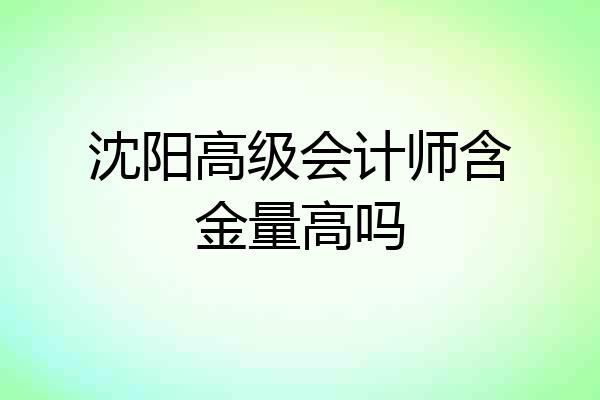 沈阳高级会计师含金量高吗