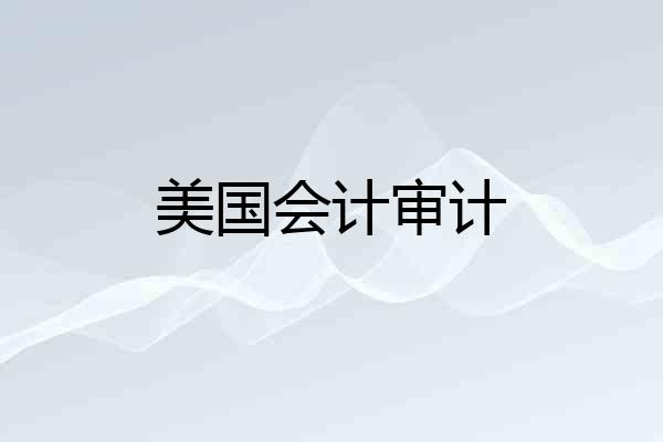 美国会计审计