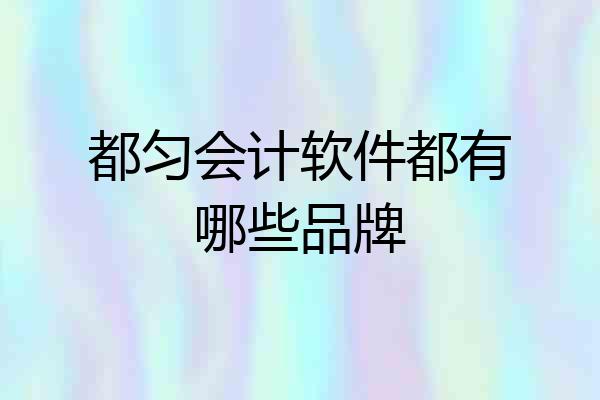 都匀会计软件都有哪些品牌