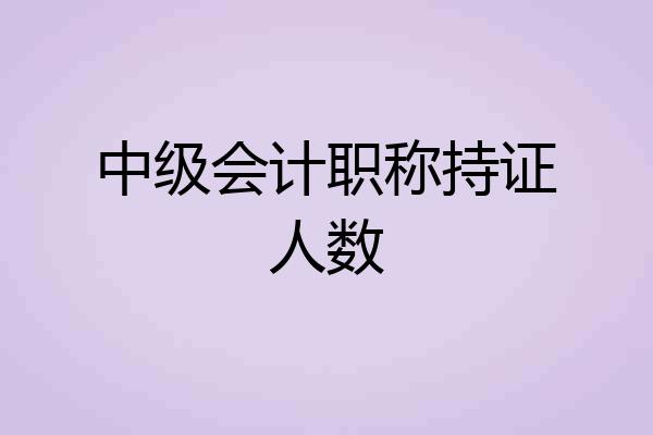 中级会计职称持证人数