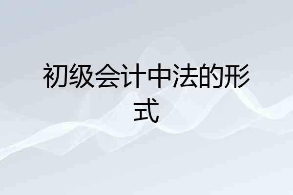 初级会计中法的形式
