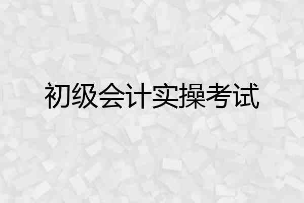 初级会计实操考试