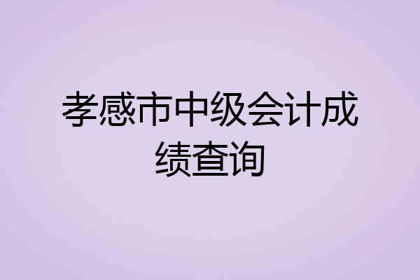 孝感市中级会计成绩查询