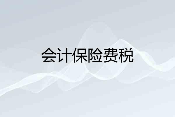 会计保险费税