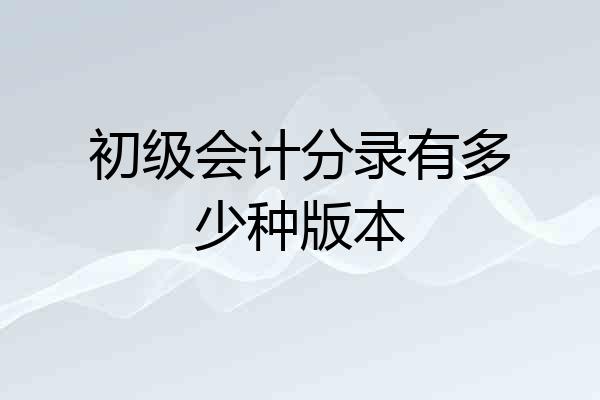 初级会计分录有多少种版本
