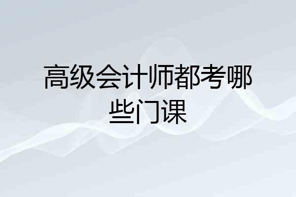 高级会计师都考哪些门课