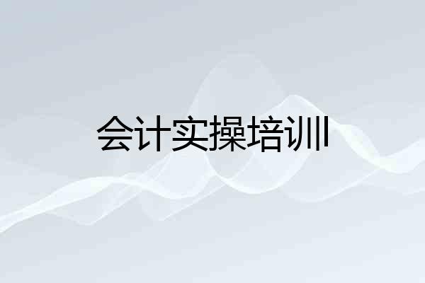 会计实操培训l
