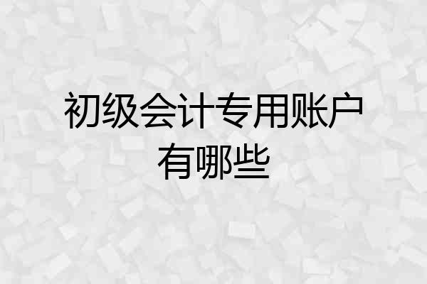 初级会计专用账户有哪些