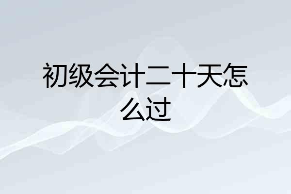 初级会计二十天怎么过