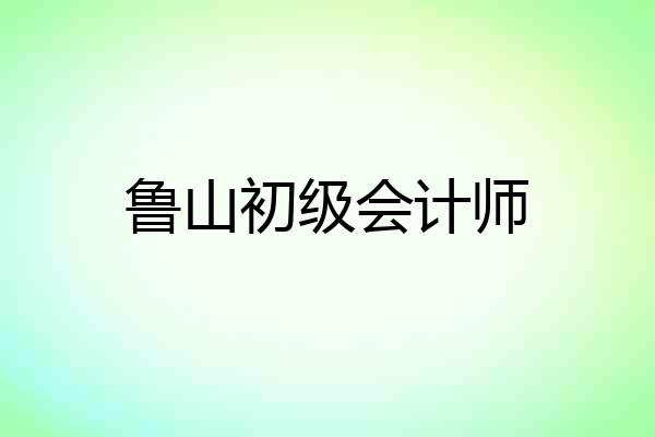 鲁山初级会计师