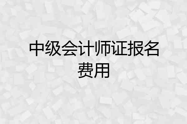 中级会计师证报名费用