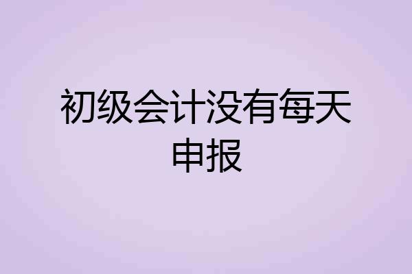 初级会计没有每天申报