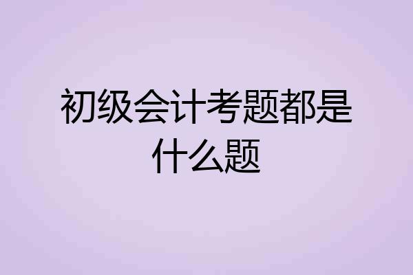 初级会计考题都是什么题
