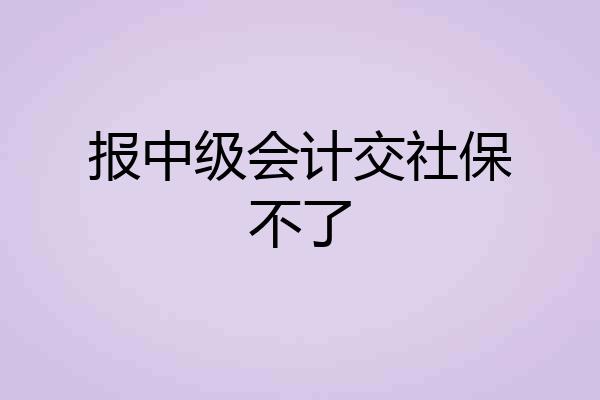 报中级会计交社保不了