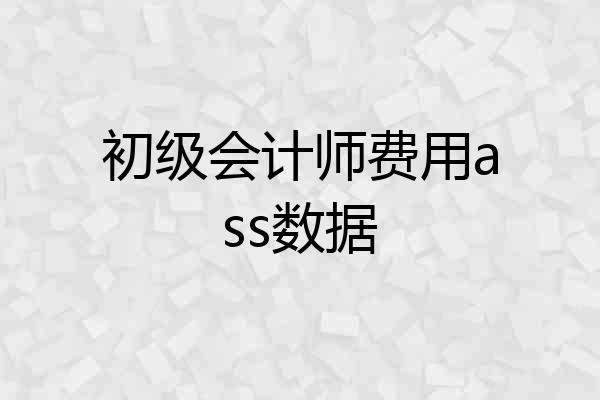 初级会计师费用ass数据