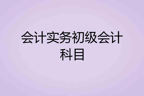 会计实务初级会计科目