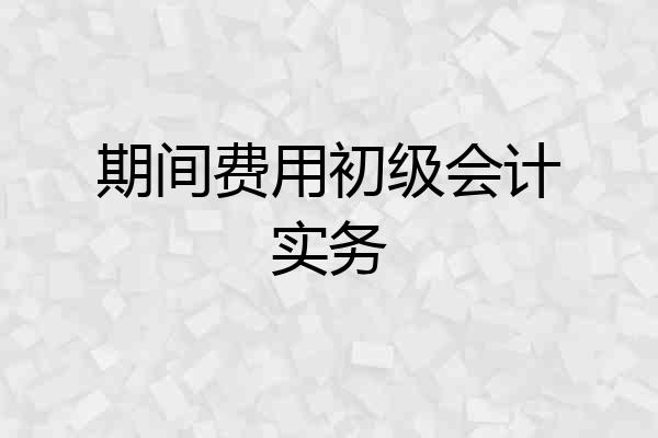 期间费用初级会计实务