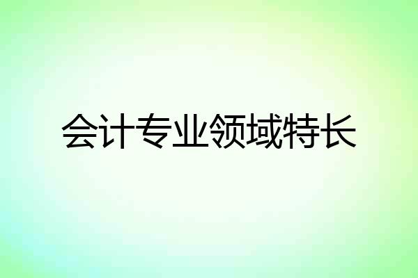 会计专业领域特长