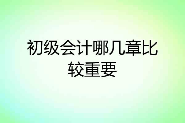初级会计哪几章比较重要