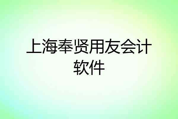 上海奉贤用友会计软件