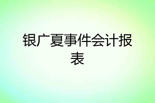 银广夏事件会计报表