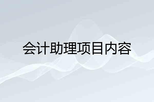 会计助理项目内容