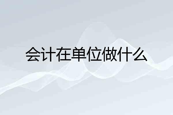 会计在单位做什么