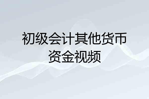 初级会计其他货币资金视频