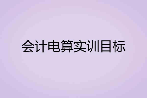 会计电算实训目标