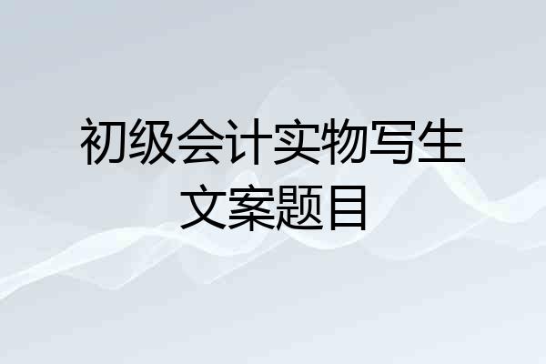 初级会计实物写生文案题目
