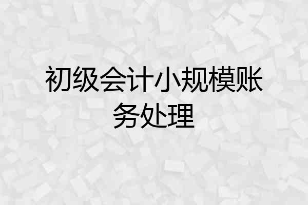 初级会计小规模账务处理