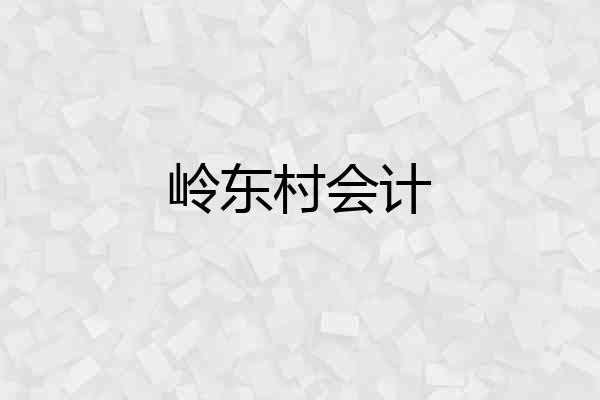 岭东村会计