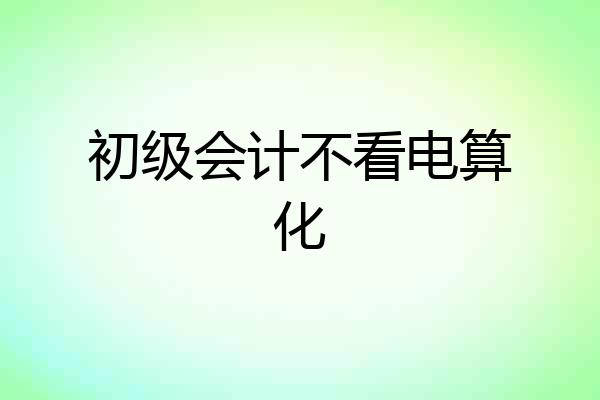 初级会计不看电算化