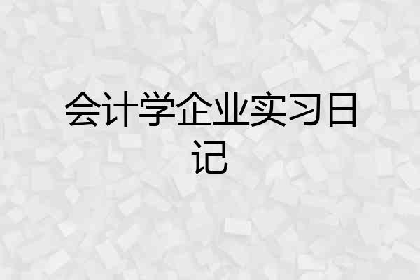 会计学企业实习日记