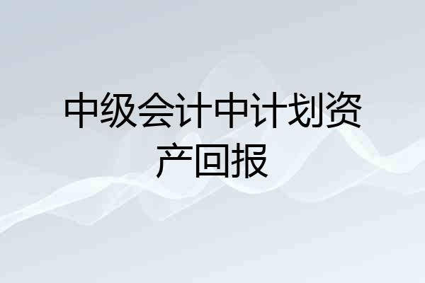 中级会计中计划资产回报
