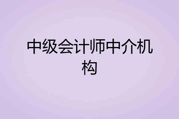 中级会计师中介机构