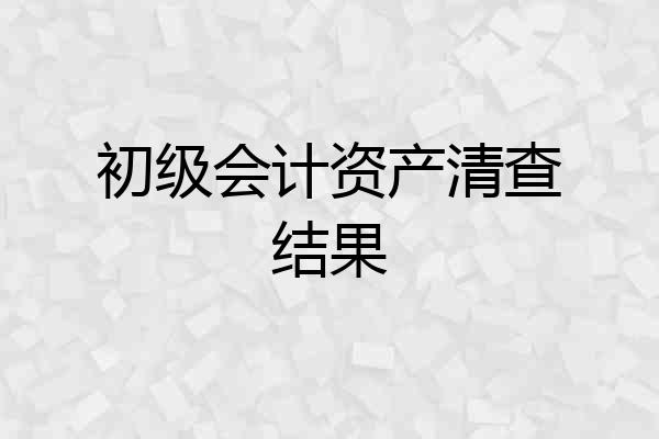 初级会计资产清查结果