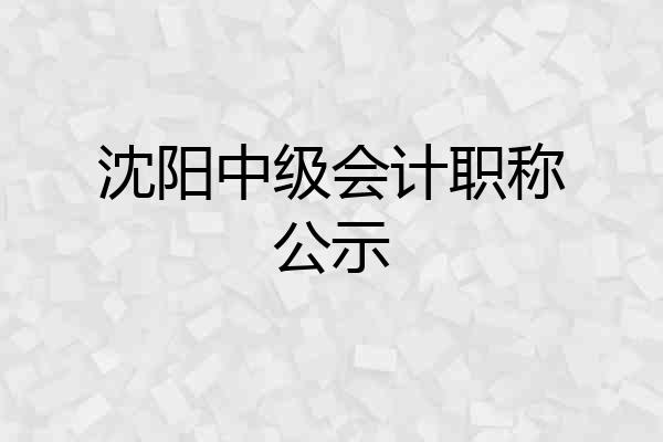 沈阳中级会计职称公示