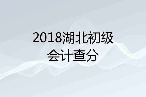 2018湖北初级会计查分