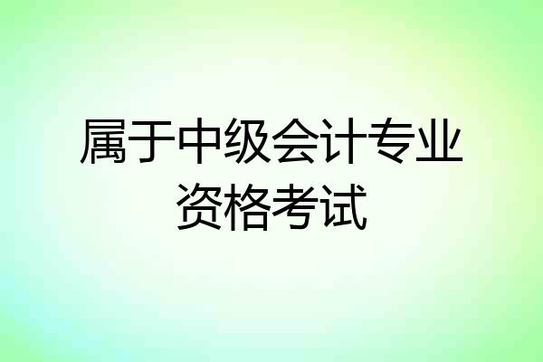 属于中级会计专业资格考试