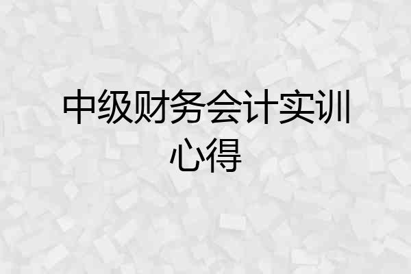 中级财务会计实训心得