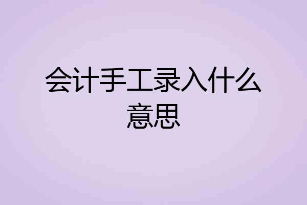 会计手工录入什么意思