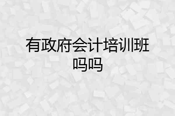 有政府会计培训班吗吗