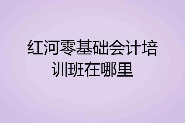红河零基础会计培训班在哪里
