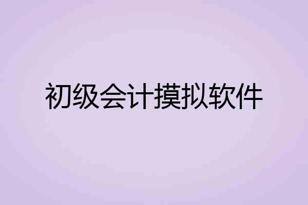 初级会计摸拟软件
