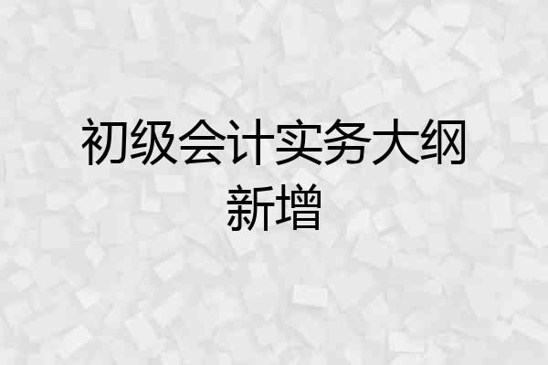 初级会计实务大纲新增