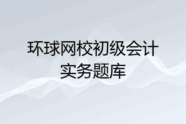 环球网校初级会计实务题库