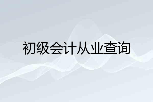 初级会计从业查询